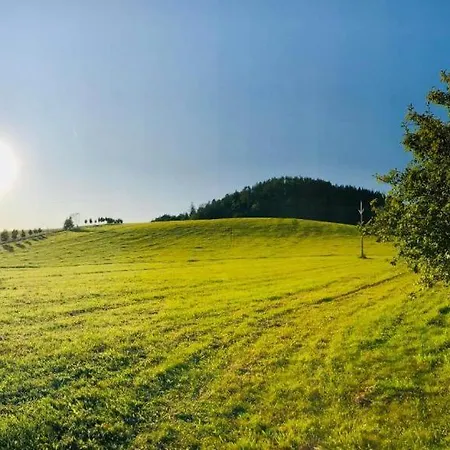 U Josifka Lejlighed Velké Losiny